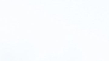 Agente del Servicio de Control de Inmigración y Aduanas.