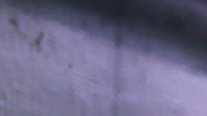 Presidente del América descarta crisis del equipo.