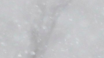 Nieve en Nueva York