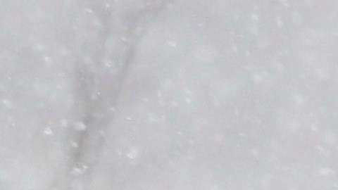 Nieve en Nueva York