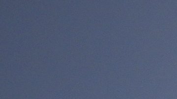 Deportistas se oponen al partido contra Israel en la Copa Davis de tenis por “genocidio”.