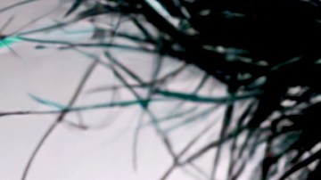 Ivy Queen, la Reina del Reguetón, debutará en el Lehman  con un show vibrante el sábado 25 de octubre.