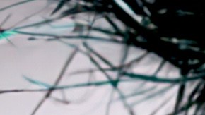 Ivy Queen, la Reina del Reguetón, debutará en el Lehman  con un show vibrante el sábado 25 de octubre.