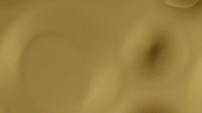 James Van Der Beek tiene seis hijos.