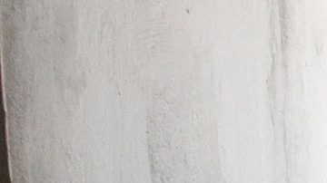 Julio César Chávez Jr.