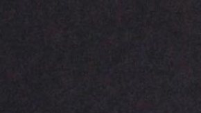 Karina Banda, presentadora mexicana de televisión.