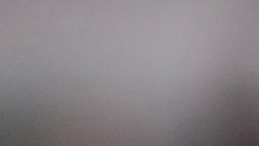 Kylie Jenner busca más privacidad con los nuevos olivos.