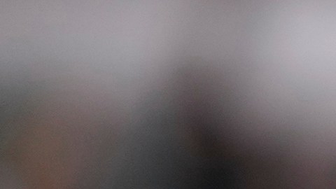 Kylie Jenner busca más privacidad con los nuevos olivos.
