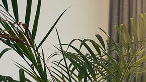 La caída en los precios de las hipotecas impulsarán a una industria estancada desde 2022.