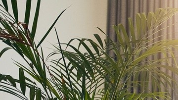 La caída en los precios de las hipotecas impulsarán a una industria estancada desde 2022.