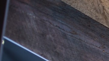 Las acciones de CAVA Group han perdido casi el 40% de su valor en lo que va del 2025.