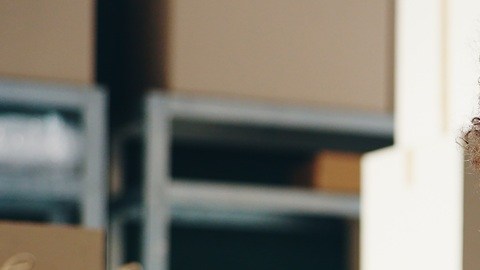 Los clientes Prime tienen puntajes de crédito entre 661 y 780, mientras que los clientes super prime tienen puntajes entre 781 y 850.