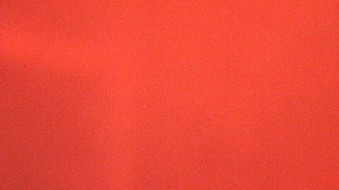 Lupita D'Alessio manifestó su deseo de retirarse de los escenarios con dignidad.