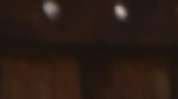 Maria Antonieta de las Nieves