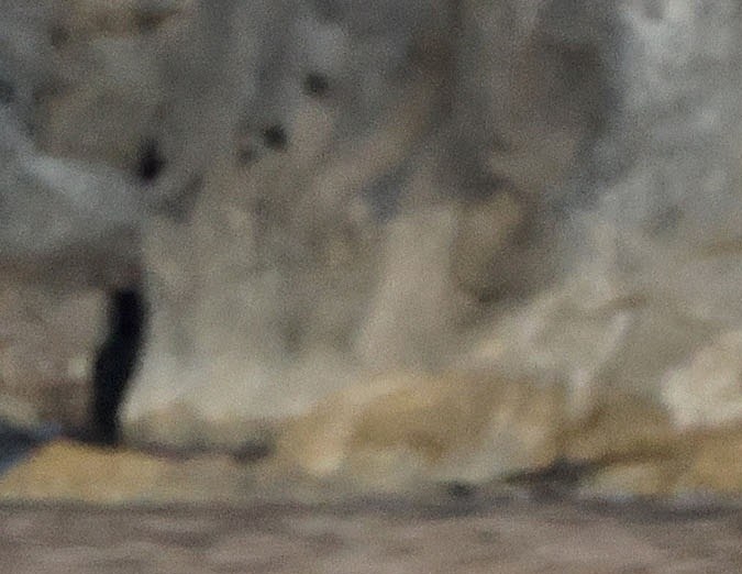 Matt Damon fue uno de los invitados a la celebración.