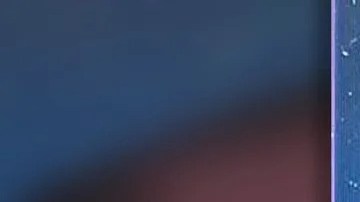 Las autoridades difundieron imágenes del sospechoso, en las que se le veía huyendo descalzo y sin camisa después de abandonar su camioneta tras el tiroteo.