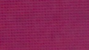 Ninel Conde, actriz mexicana.