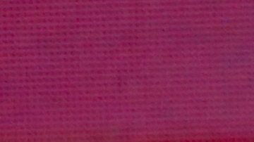 Ninel Conde, actriz mexicana.