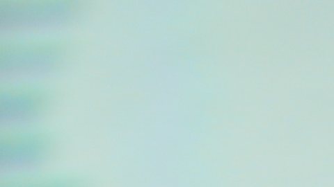 Osmariel Villalobos, modelo venezolana y exparticipante de La Casa de los Famosos.