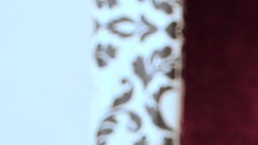 Osmel Sousa, también conocido como el Zar de la Belleza, se disculpa con María Gabriela Isler.