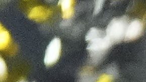 PSG celebra en la Supercopa de Europa.