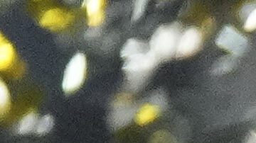 PSG celebra en la Supercopa de Europa.