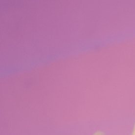 Paulo Quevedo, actor mexicano.