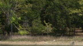 Los detectives continuarán con la investigación tras hallar el cuerpo del menor.