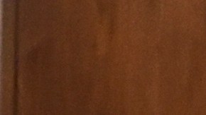 Putin propone paz sobre Donetsk