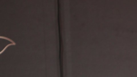 Raúl de Molina, presentador de televisión.