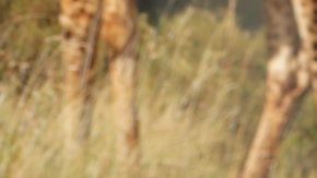 Raúl de Molina, presentador del programa El Gordo y la Flaca.