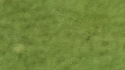 Real Madrid, jugadores y cuerpo técnico.