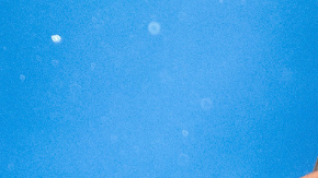 Shakira elogió a Camila Cabello.