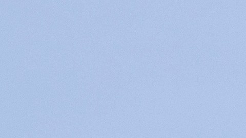 Las galletas fueron distribuidas a las tiendas Target de 20 estados del país, incluidos Nueva York y Nueva Jersey.