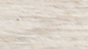 El té verde contiene un compuesto que ayuda a limpiar y rejuvenecer el cerebro.