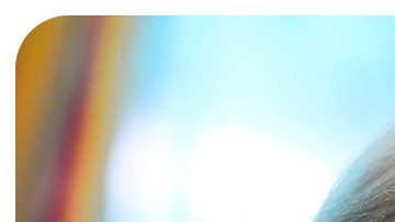 Elizabeth Warren y Donald Trump