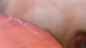 Vladimir Putin y Donald Trump