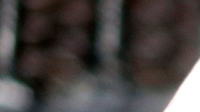 Algunas bacterias presentes en los vegetales son resistentes al calor.