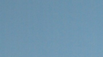 William Levy tiene que cumplir sus horas de servicio comunitario hasta septiembre.