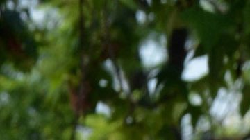 Yolanda Andrade padece una enfermedad incurable.