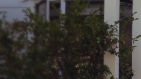Chipotle lanzó un programa de entregas a domicilio con drones en Dallas.