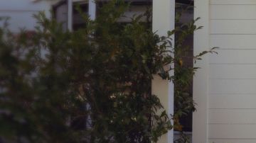 Chipotle lanzó un programa de entregas a domicilio con drones en Dallas.