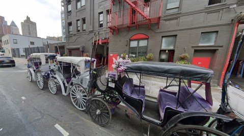 Caballeriza en Midtown Manhattan, NYC/Archivo.