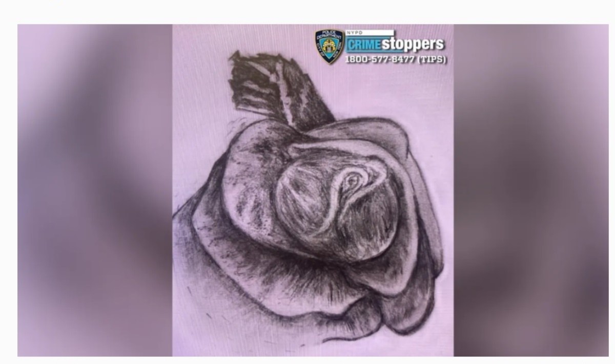 Joven arrojada muerta a la basura en Queens, Nueva York: restos identificados, pero el misterio policial sigue