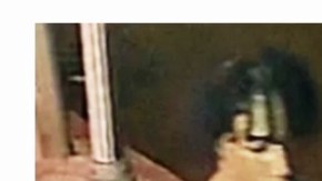 Sospechoso de homicidio en El Bronx (NYC).