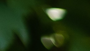 La reacción de la mujer, entre risas y lágrimas, fue descrita por los usuarios como una muestra pura de amor familiar.