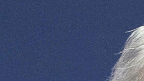 Trump y Netanyahu retomaron contacto para discutir la ofensiva israelí en Gaza