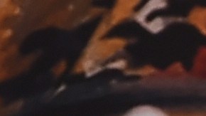 En agosto de 2023, Asghari solicitó el divorcio a Spears alegando "diferencias irreconciliables".