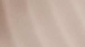 El bulldog francés es una raza de perro pequeño, cómico y afable, que sobresale como mascota de compañía y que solo busca afecto.