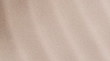 El bulldog francés es una raza de perro pequeño, cómico y afable, que sobresale como mascota de compañía y que solo busca afecto.